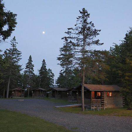 Narrows Too Camping Resort Cabin 1 特伦顿 外观 照片