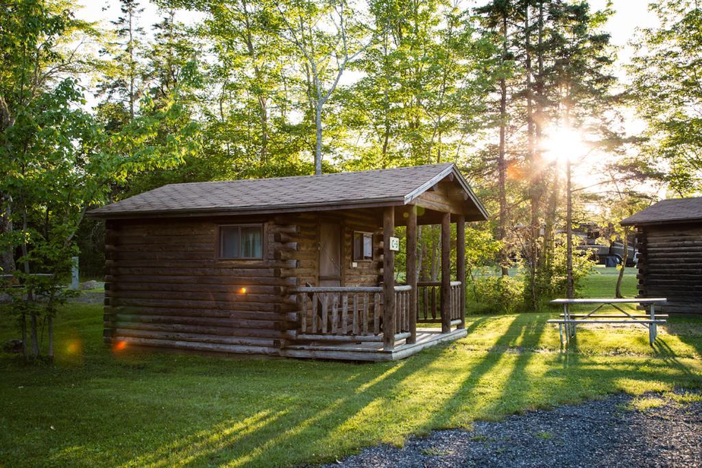 Narrows Too Camping Resort Cabin 1 特伦顿 外观 照片